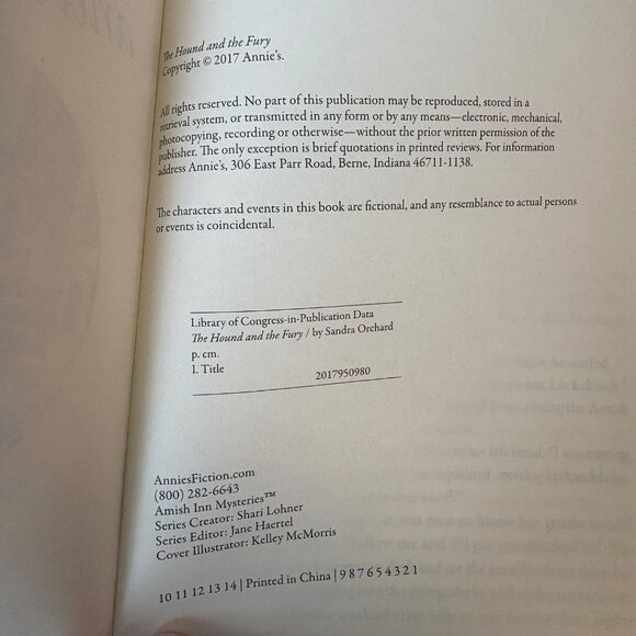 20 Annies Attic & Amish Inn Mysteries Hard back Book Lot Ribbons HbDj - Picture 11 of 12